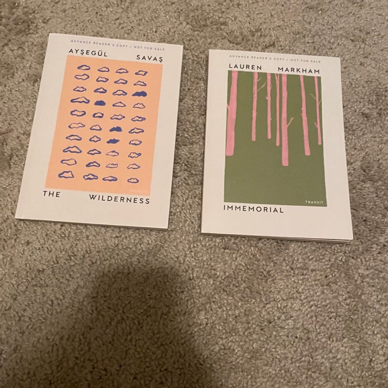 Immemorial / The Wilderness