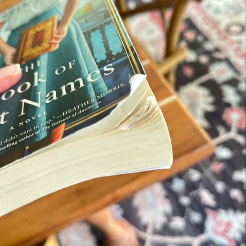 the-book-of-lost-names-by-kristin-harmel-paperback-pangobooks