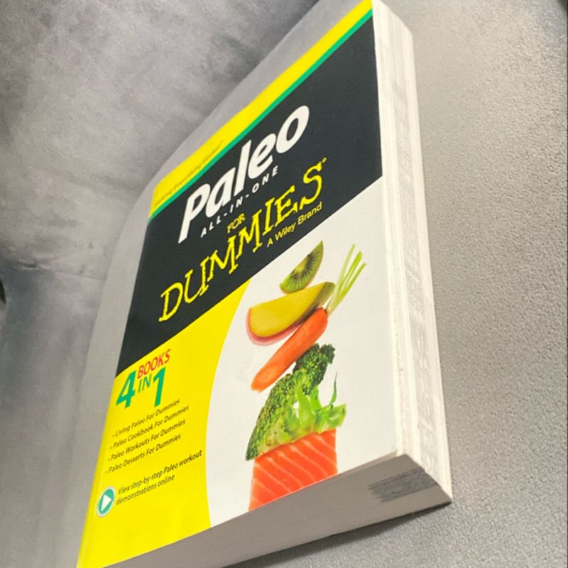 Paleo All In One For Dummies