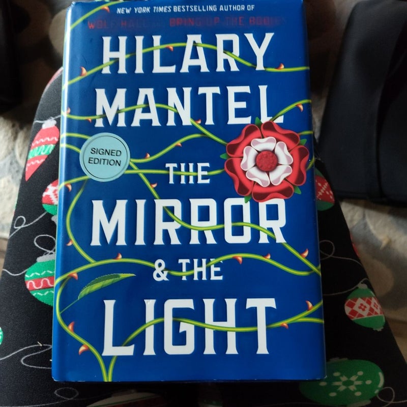 The Mirror and the Light