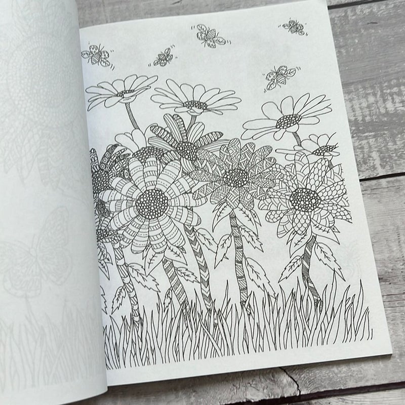 Summer Blossom: Adult Colouring Book