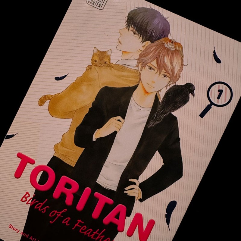 Toritan: Birds of a Feather, Vol. 1