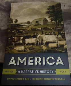 America A Narrative History 
