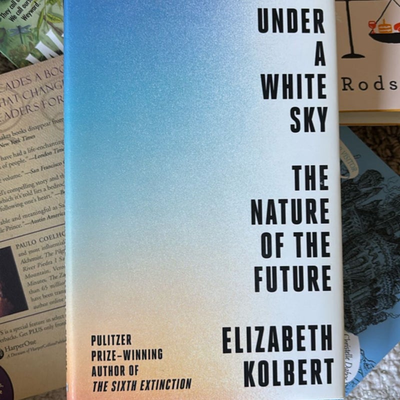 Under a White Sky