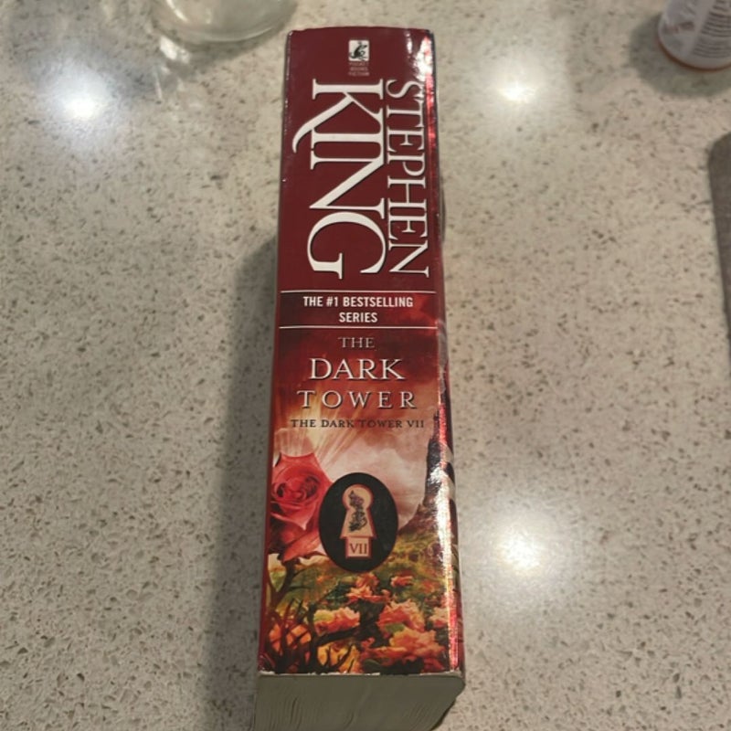 The Dark Tower VII