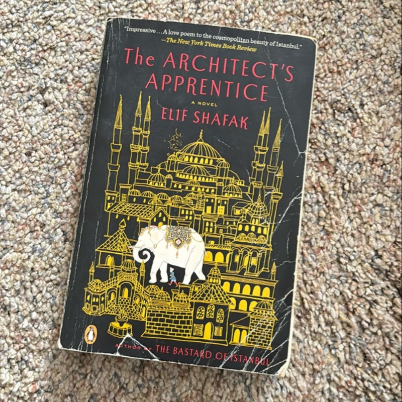 The Architect's Apprentice