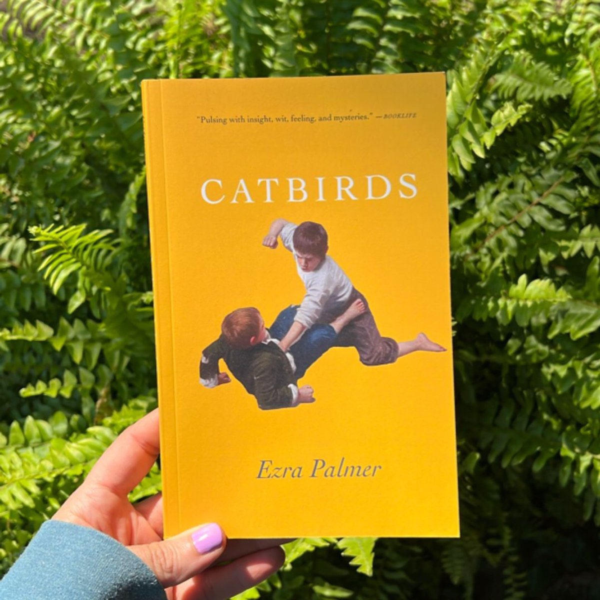 Catbirds by Ezra Palmer
