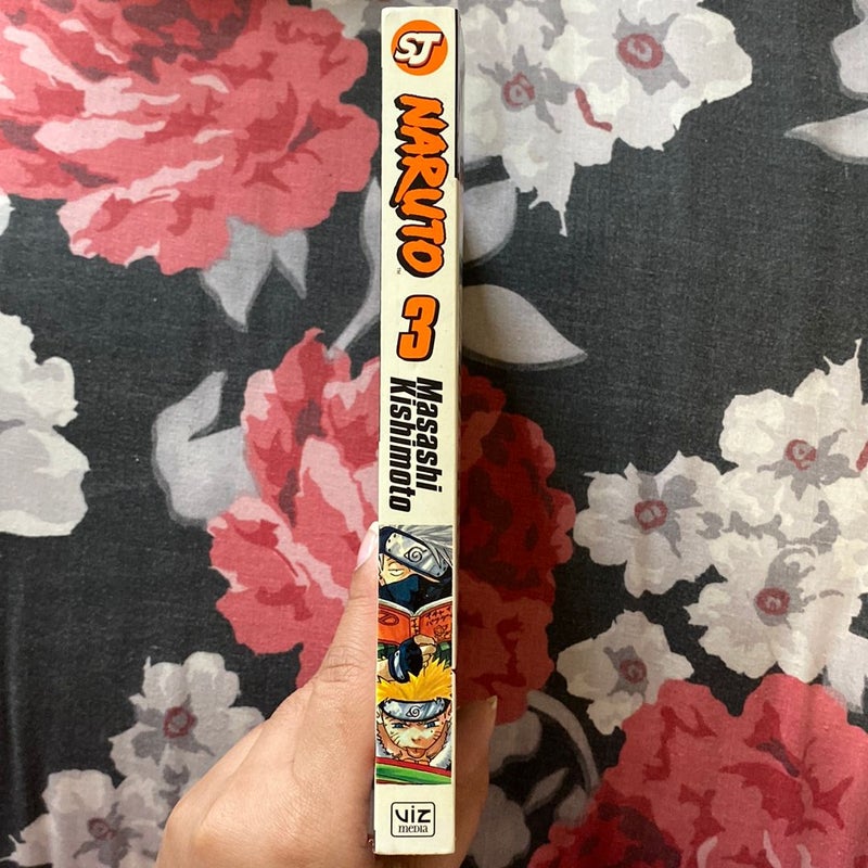 Naruto, Vol. 3