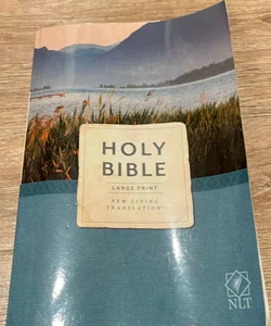 Holy Bible, Economy Outreach Edition, Large Print, NLT (Softcover)