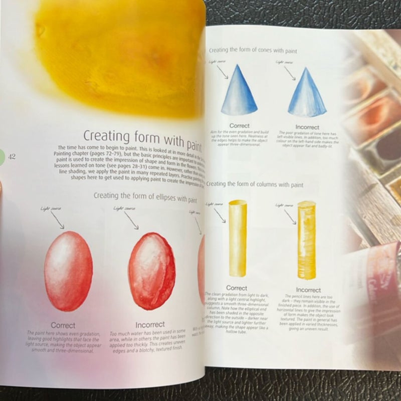 Beginner's Guide to Botanical Flower Painting