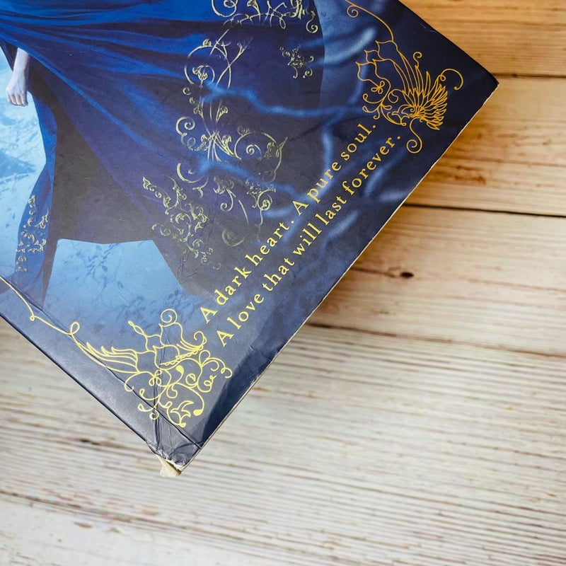 RARE Signed The Gathering Dark Leigh Bardugo Shadow and Bone 