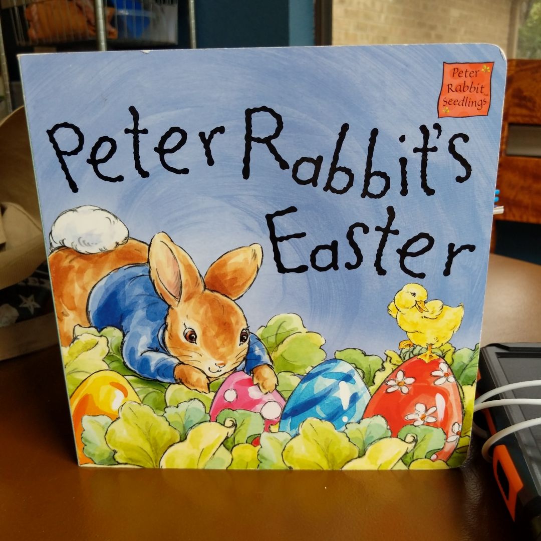 Peter Rabbit