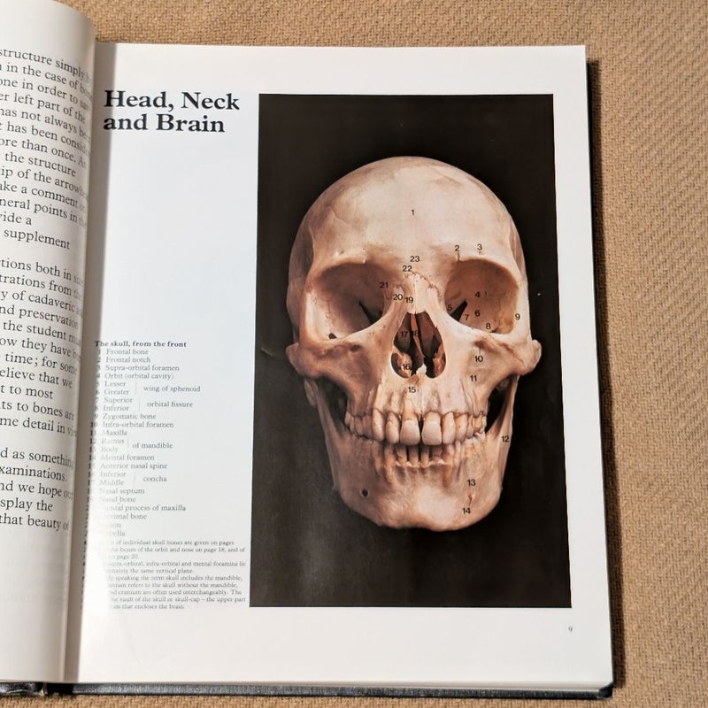Color Atlas of Human Anatomy