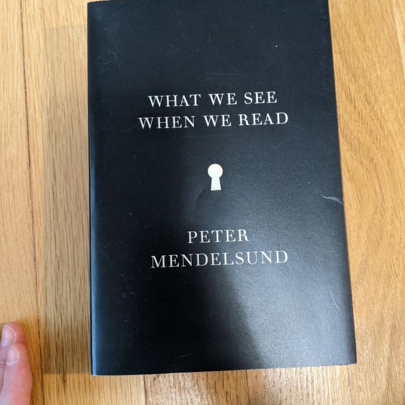 What We See When We Read