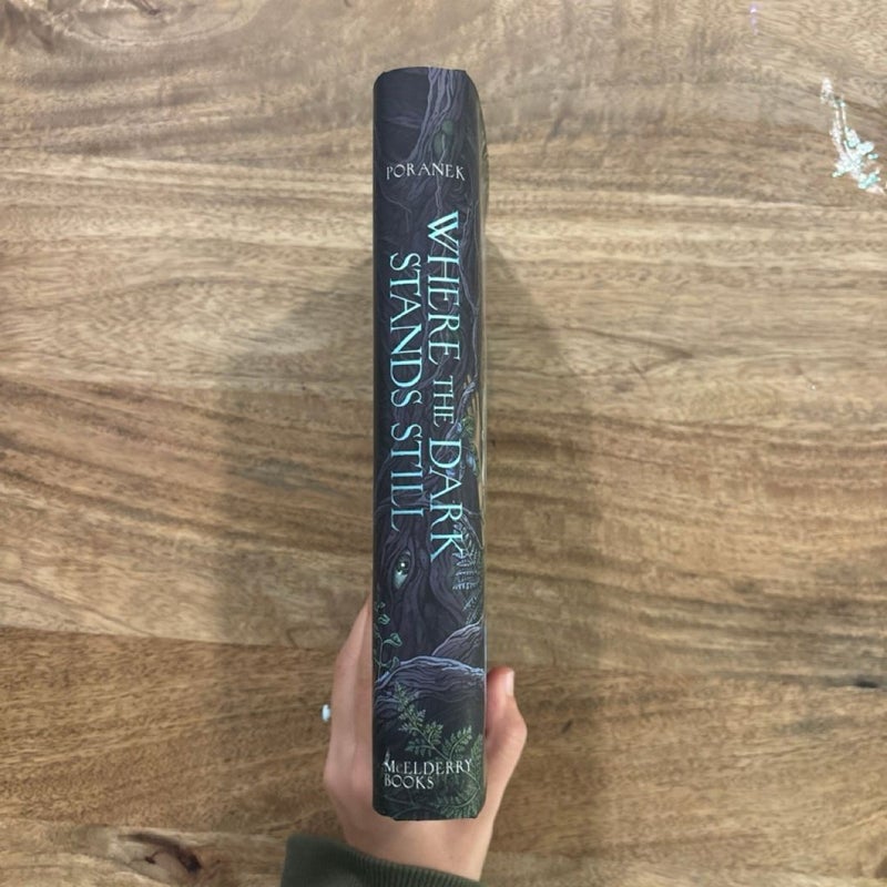 Where the Dark Stands Still (Barnes & Noble YA Book Club Edition)