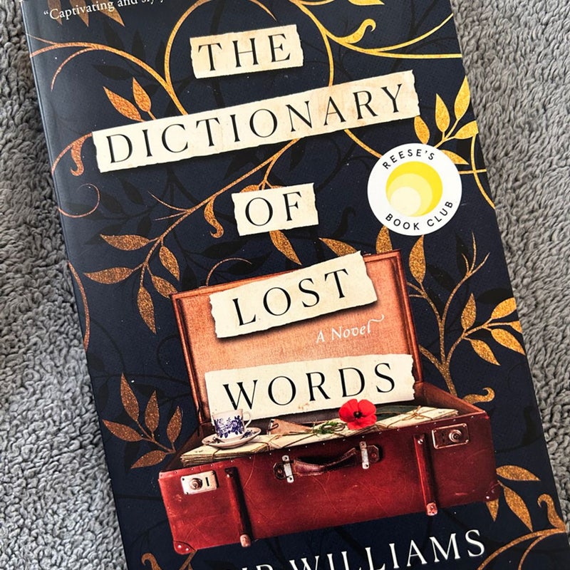 The Dictionary of Lost Words