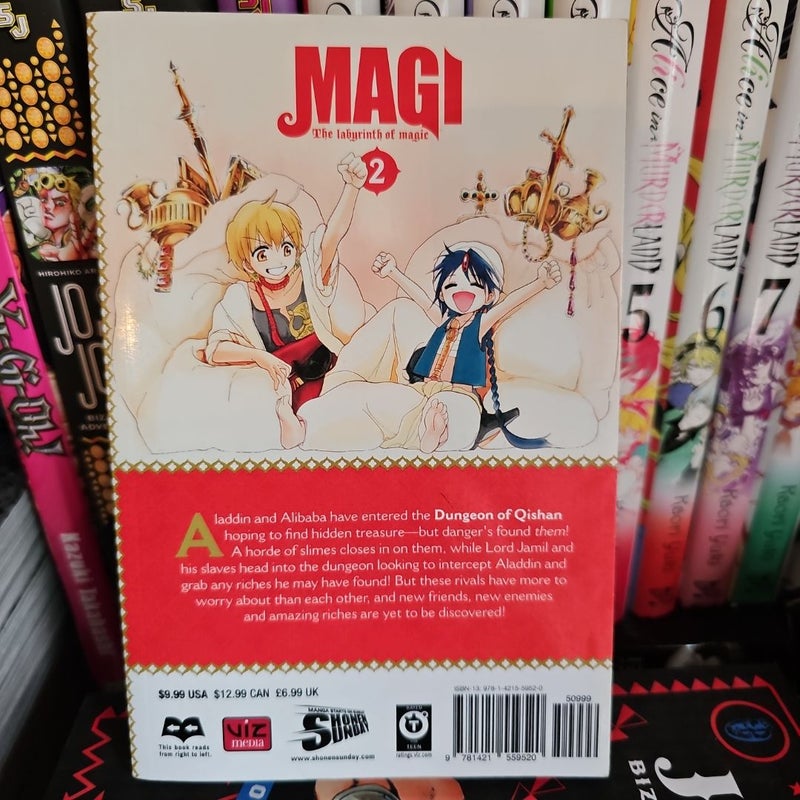 Magi: the Labyrinth of Magic, Vol. 2