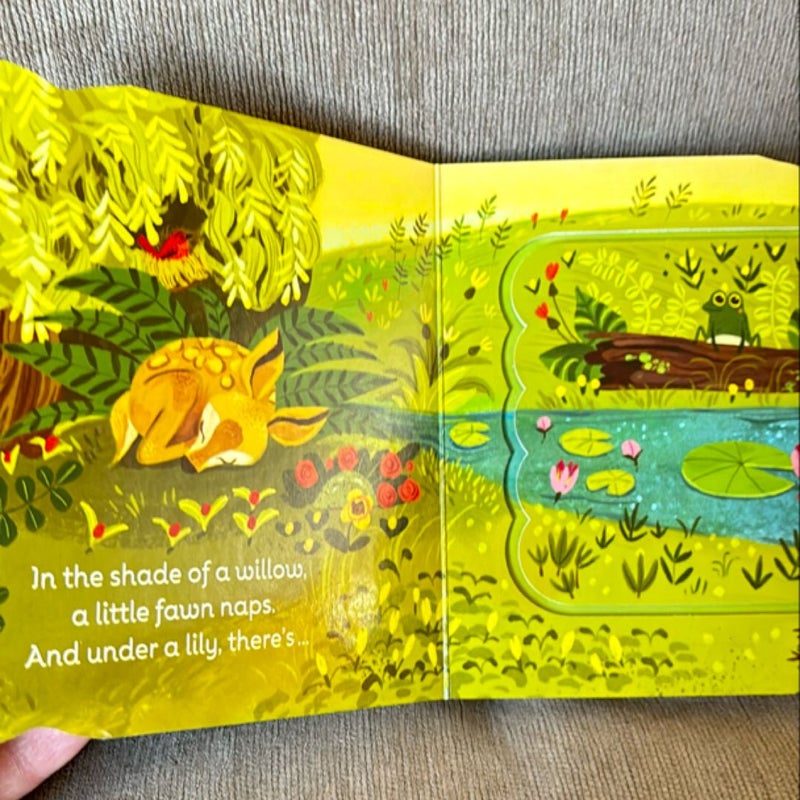 Little Green Frog Flap Boardbook