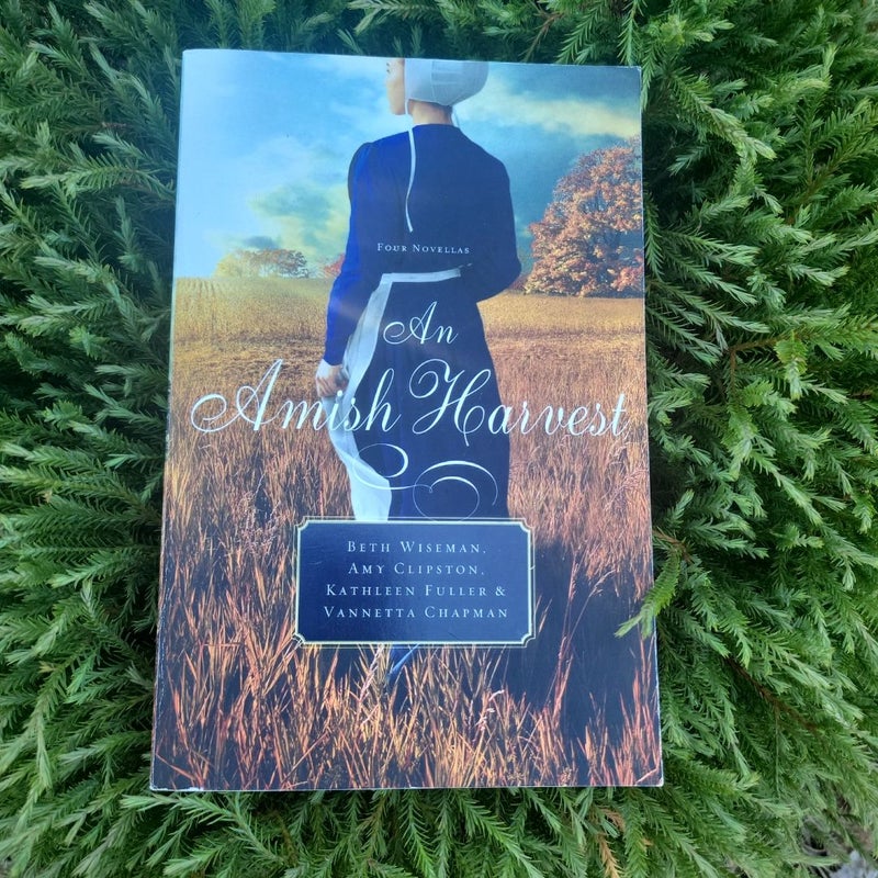 An Amish Harvest