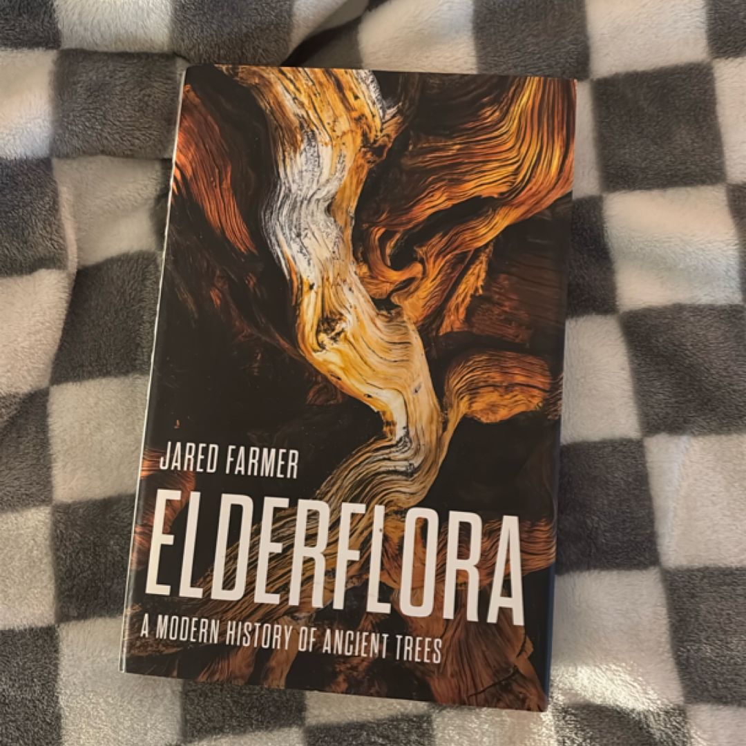 Elderflora