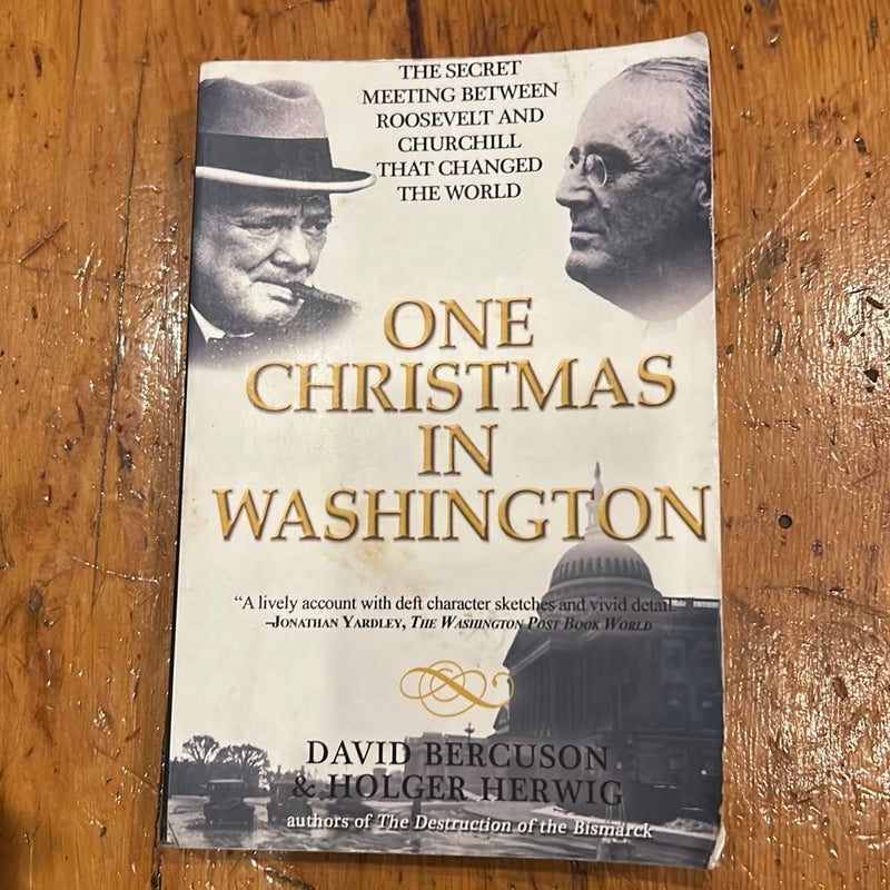 One Christmas in Washington