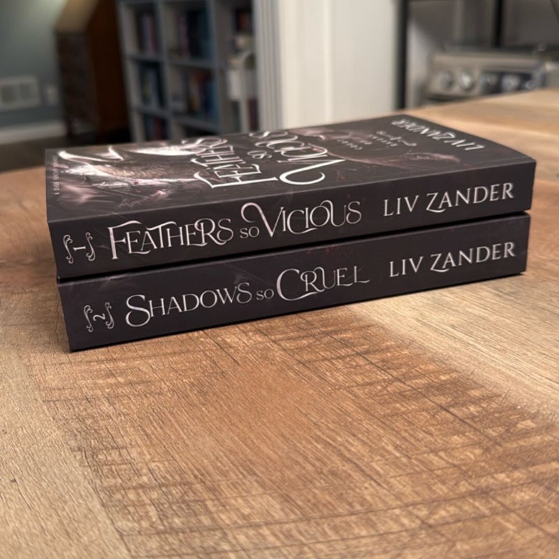 Feathers So Vicious: a Dark Fantasy Romance
