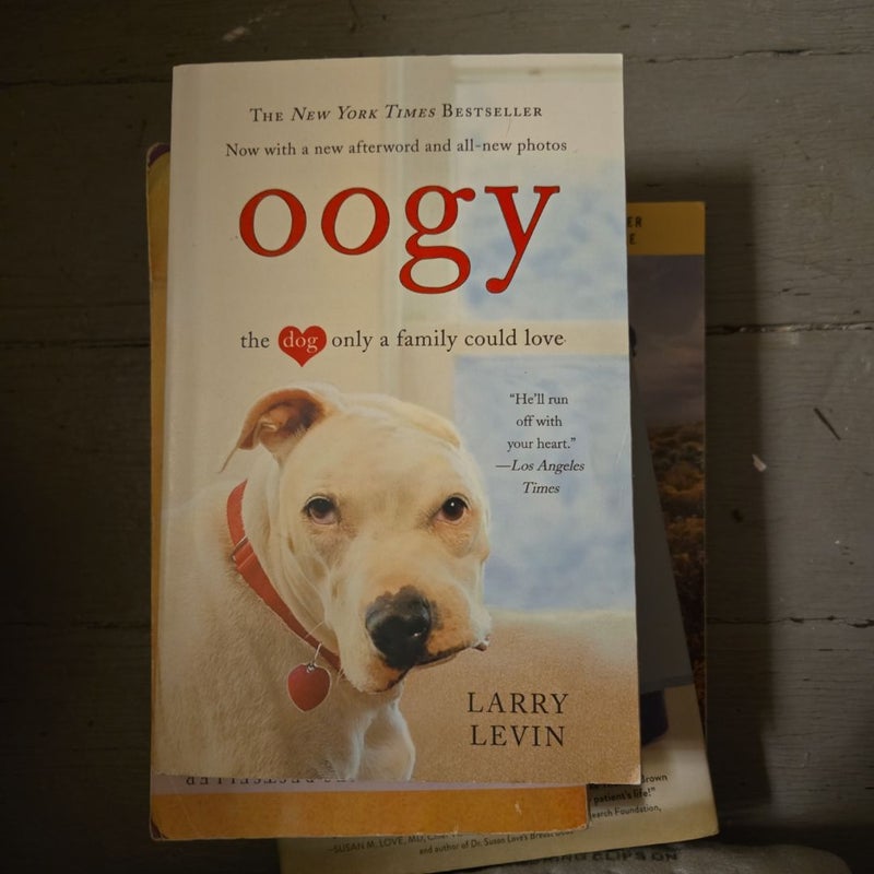 Oogy