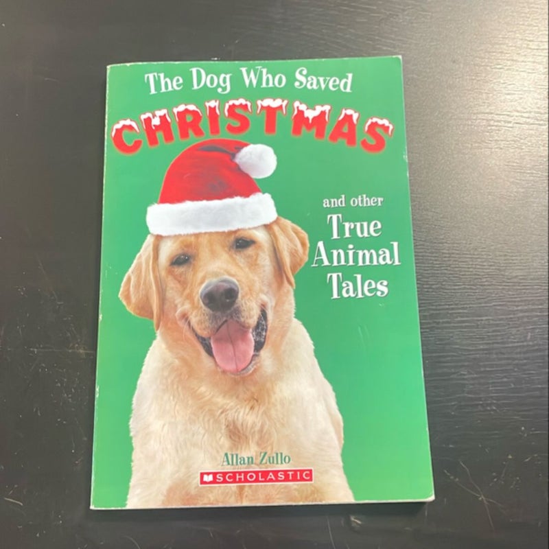 The Dog Who Saved Christmas 