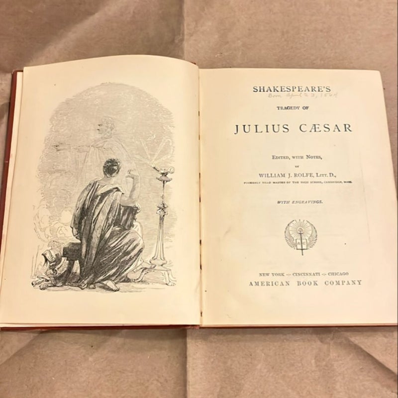 ANTIQUE Julius Cæsar