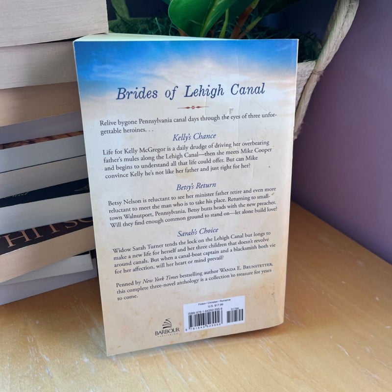 Brides of Lehigh Canal Trilogy