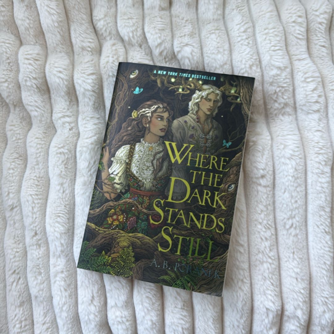 Where the Dark Stands Still