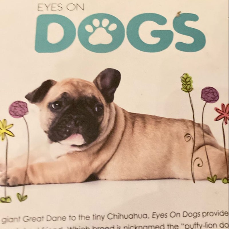 Eyes on Dogs