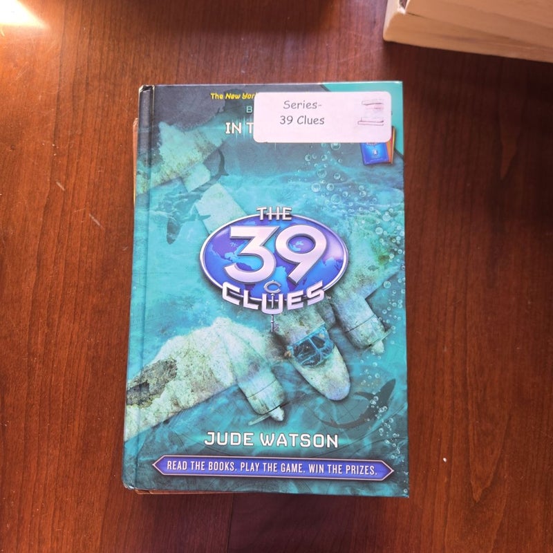 The 39 Clues (books 3,4,6,8,9)