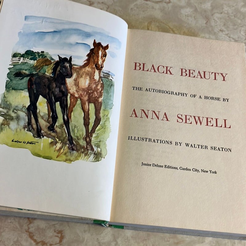 Black Beauty (Junior Deluxe Edition) 