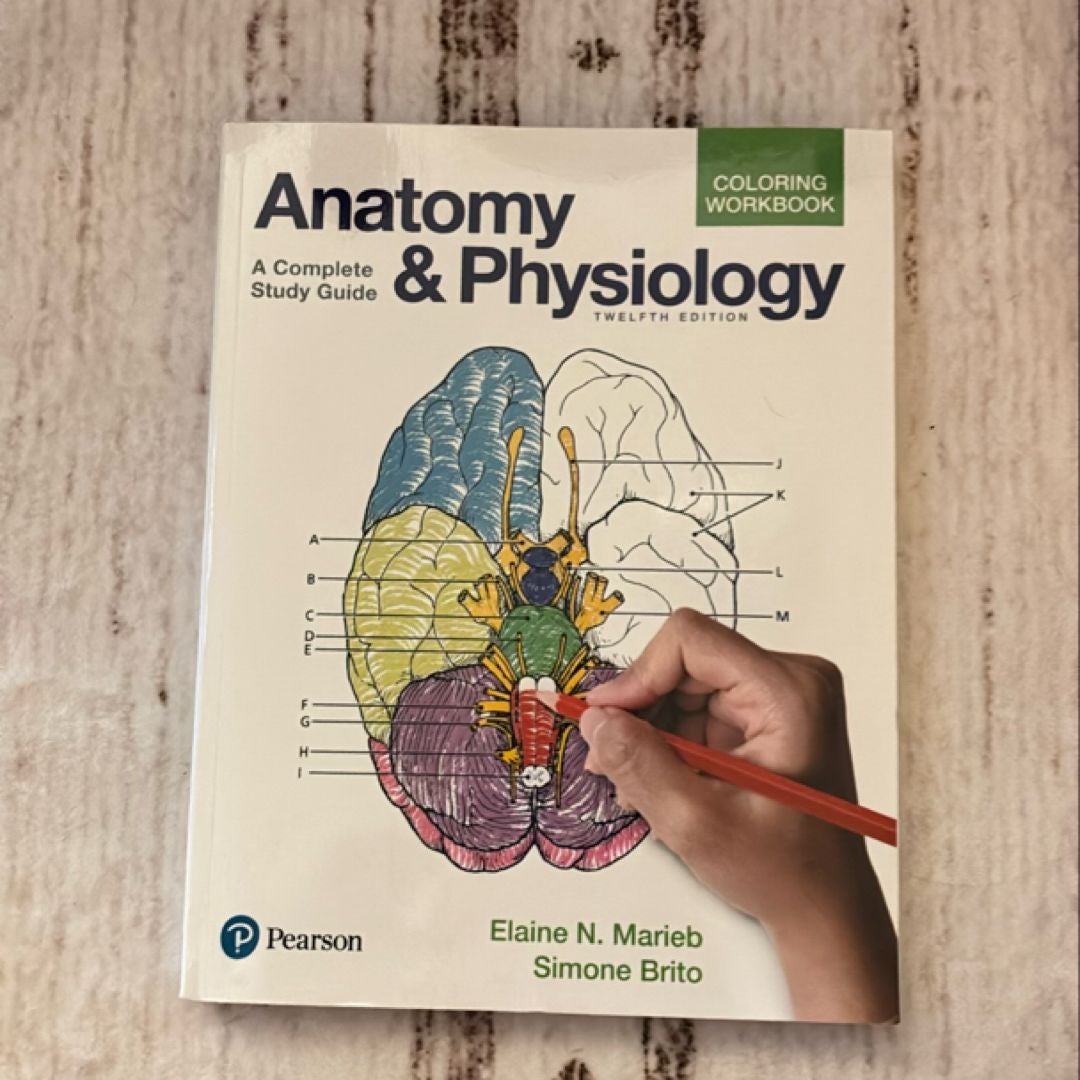 Anatomy and Physiology Coloring Workbook