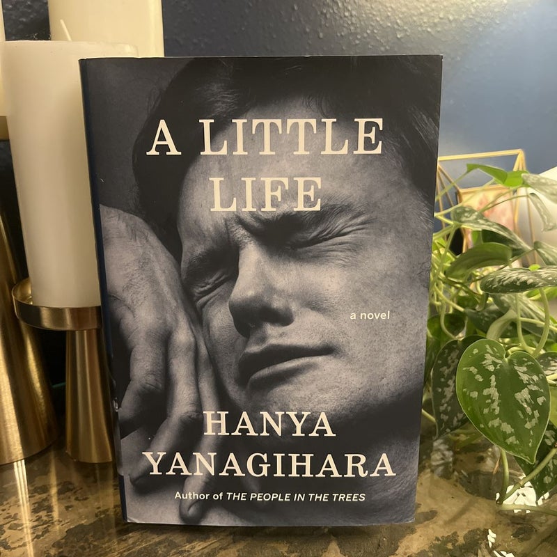 A Little Life by Hanya Yanagihara, Hardcover