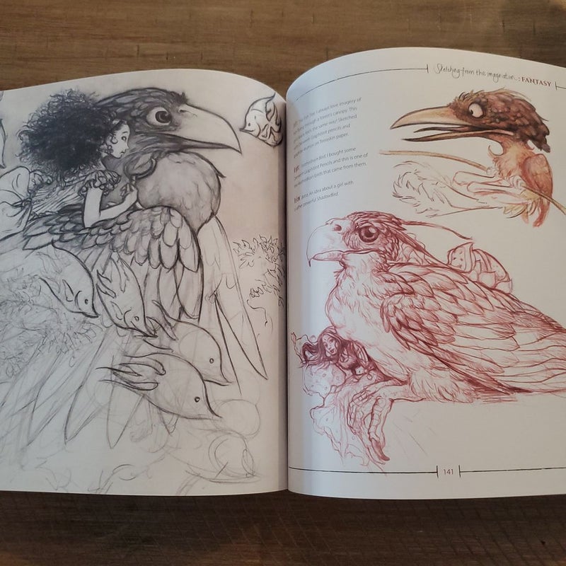 Sketching from the Imagination: Fantasy