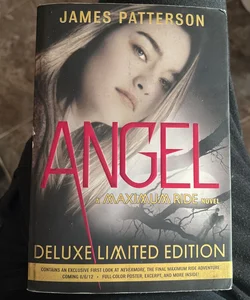 Angel- A Maximum Ride Novel