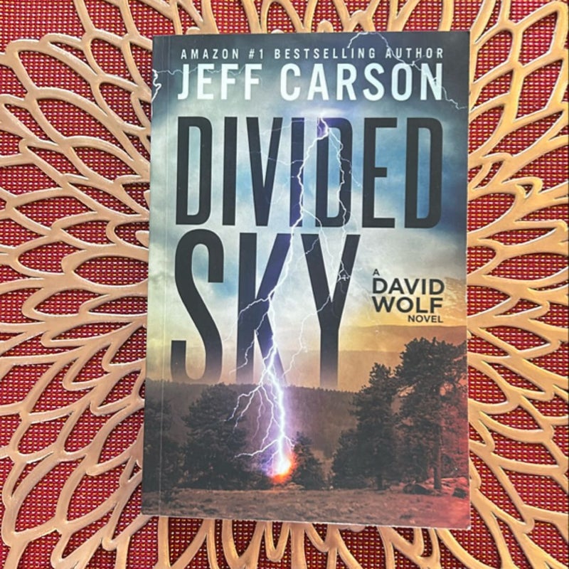 Divided Sky