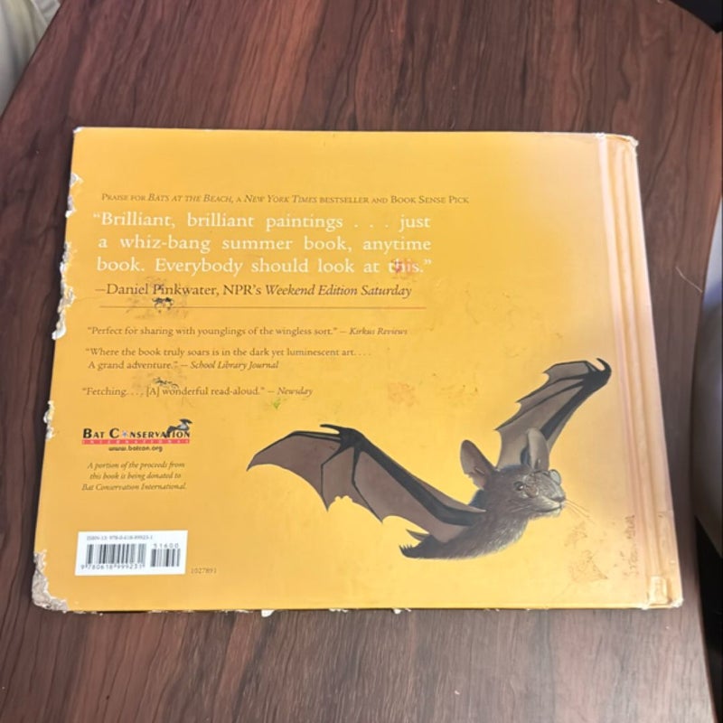 Bats at the Library