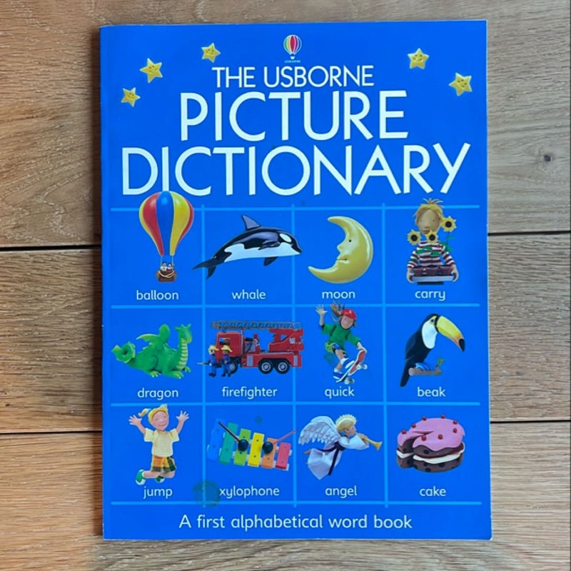 The Usborne Picture Dictionary