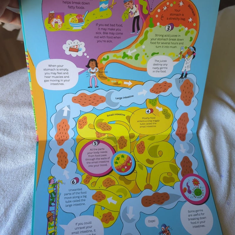 The Usborne Big Book of the Body