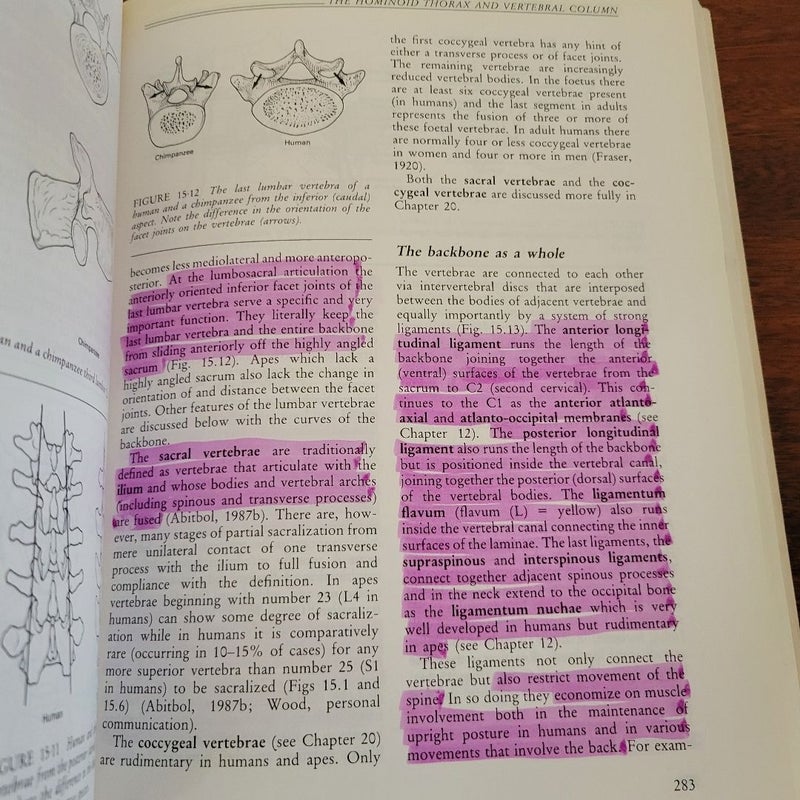 An Introduction to Human Evolutionary Anatomy