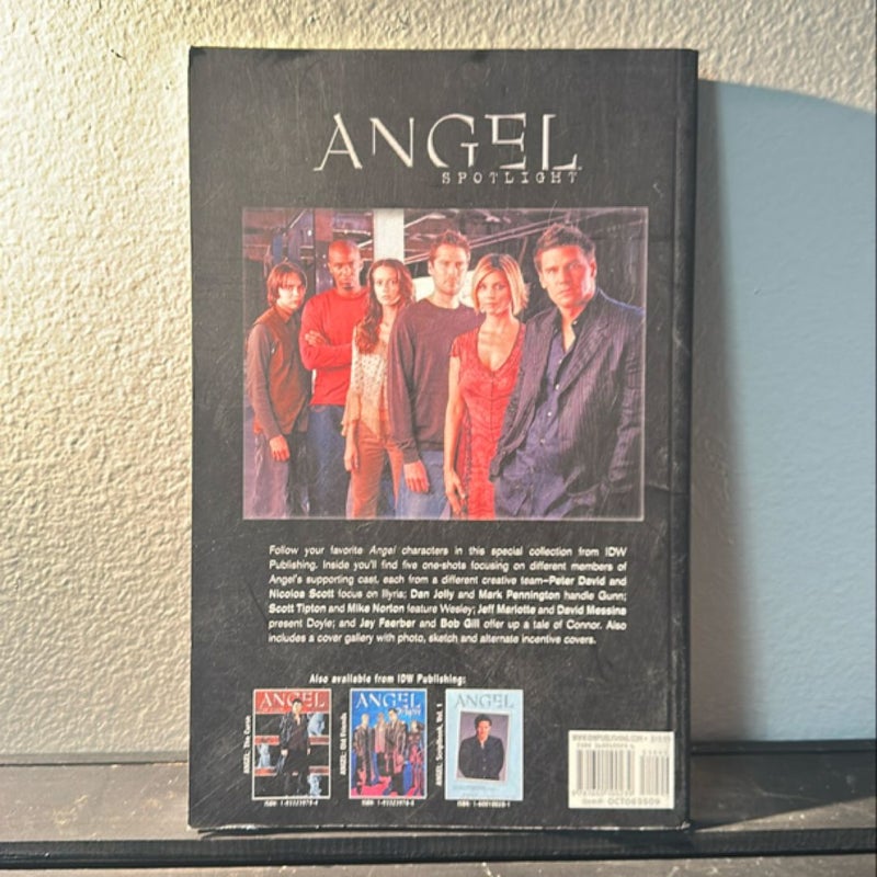 Angel Spotlight