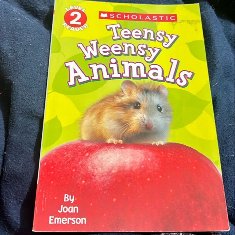 Scholastic Reader Level 2: Teensy Weensy Animals