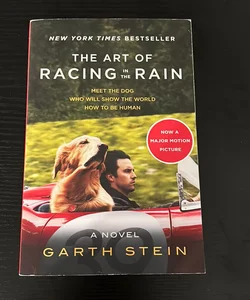 The Art of Racing in the Rain Tie-In
