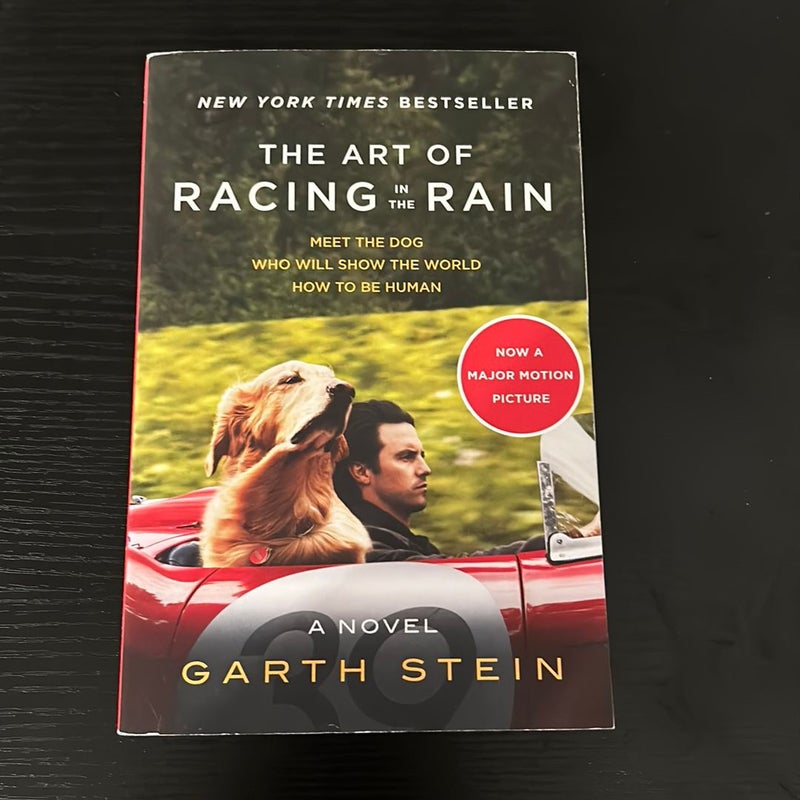 The Art of Racing in the Rain Tie-In