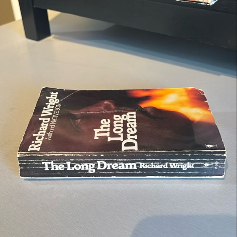 The Long Dream