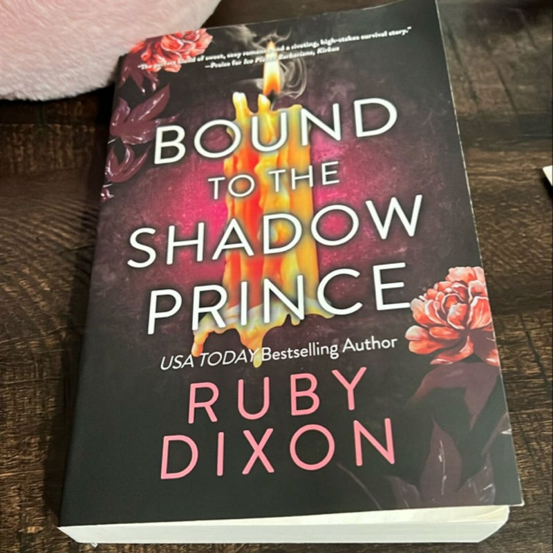 Bound to the Shadow Prince