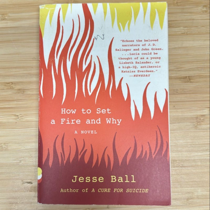 How to Set a Fire and Why